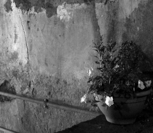 Michele La Paglia – Orizzontale / Verticale. I Vicoli Michele La Paglia – Orizzontale / Verticale. I Vicoli