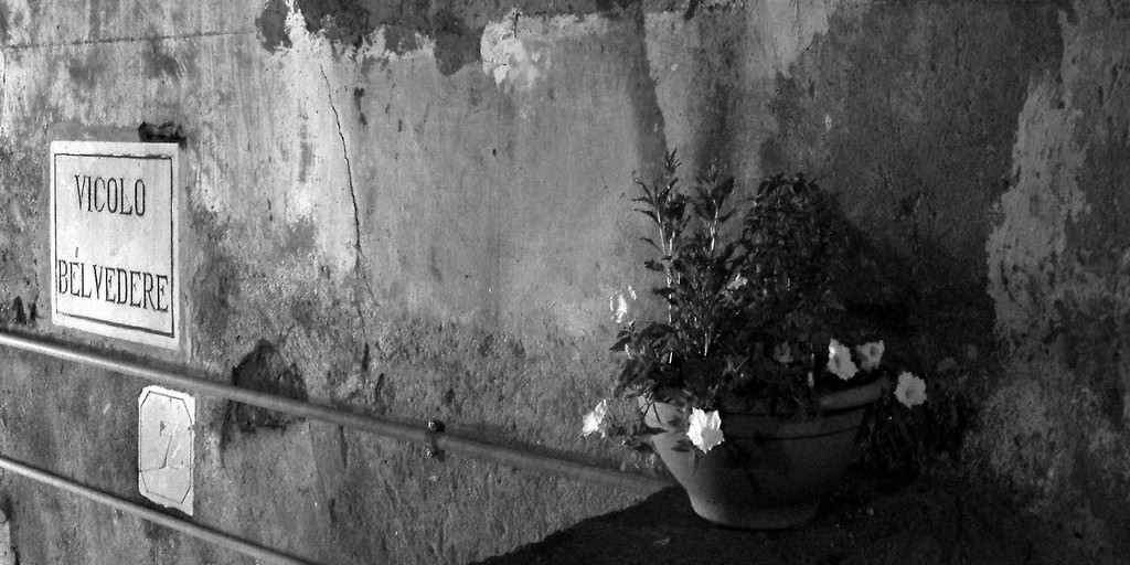 Michele La Paglia – Orizzontale / Verticale. I Vicolihttps://www.exibart.com/repository/media/eventi/2004/01/michele-la-paglia-–-orizzontale-verticale.-i-vicoli.jpg