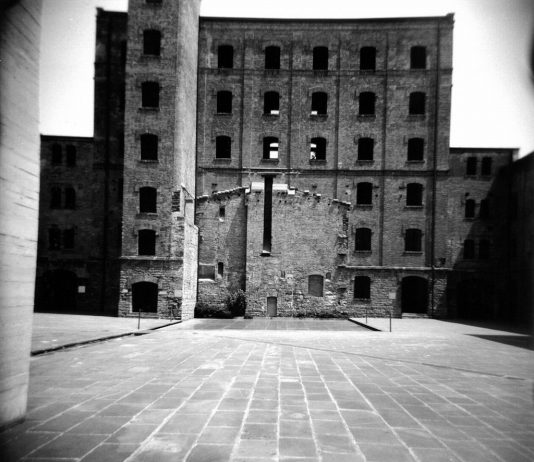 Paolo Gioia Paolo Gioia