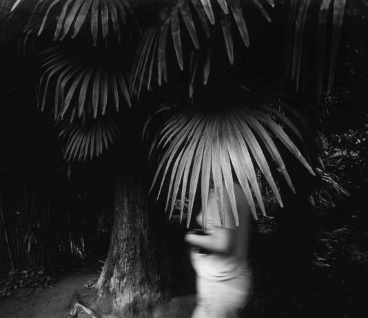 Alberto Furlani – Apparizioni Alberto Furlani – Apparizioni