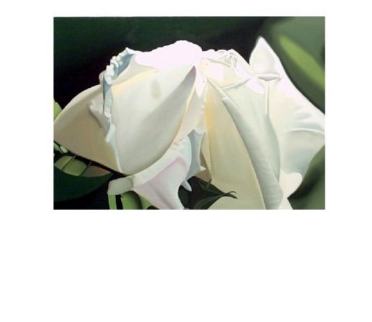 Barbara Stretti – Realismo e iperealismo Barbara Stretti – Realismo e iperealismo