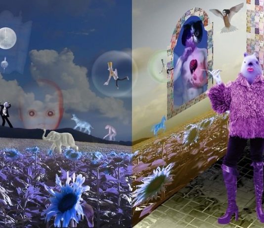 Coniglioviola – Zoo_gno