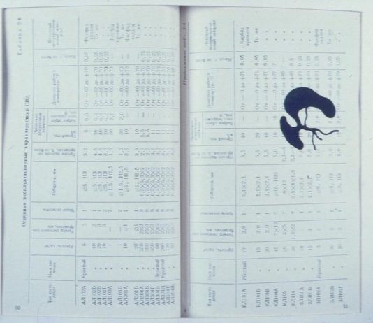 D-segni – Micol Assael D-segni – Micol Assael