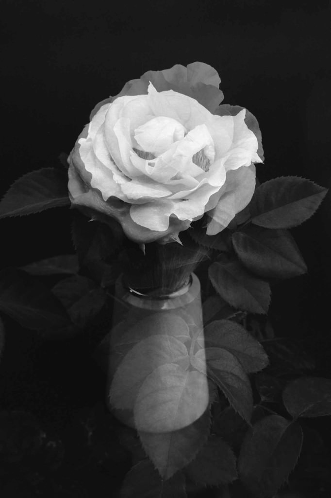 Dario Caputo – My Mr. Bloomhttps://www.exibart.com/repository/media/eventi/2004/02/dario-caputo-8211-my-mr.-bloom.jpg