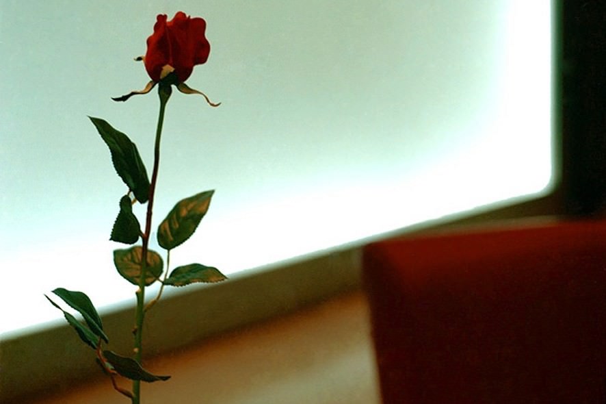 Edoardo Piva – Equivalenzehttps://www.exibart.com/repository/media/eventi/2004/02/edoardo-piva-8211-equivalenze.jpg