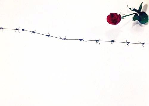 Giovanni De Noia – Fotografie e dipinti 1975-2006