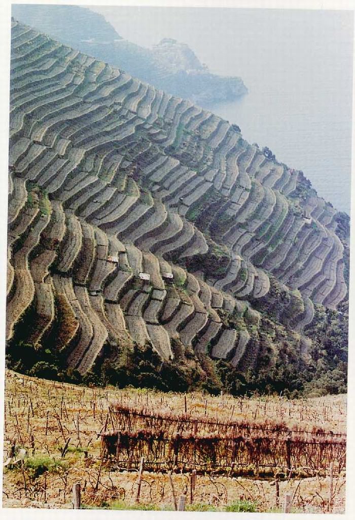 Le Cinque Terre di Sergio Fregosohttps://www.exibart.com/repository/media/eventi/2004/02/le-cinque-terre-di-sergio-fregoso.jpg