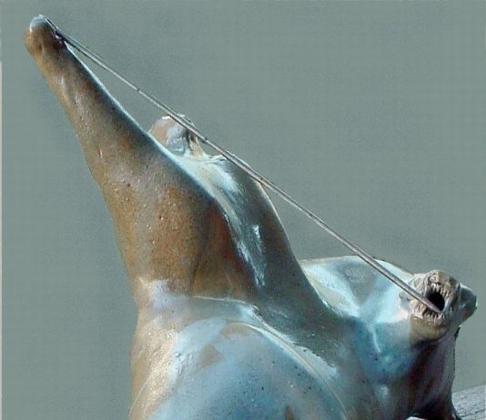 Simonetta Berruti – Forme in genesi Simonetta Berruti – Forme in genesi