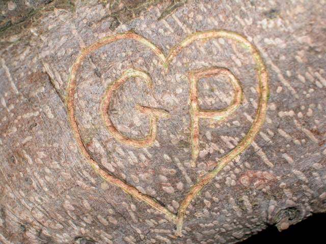 Giovanni Kronenberghttps://www.exibart.com/repository/media/eventi/2004/03/giovanni-kronenberg.jpg