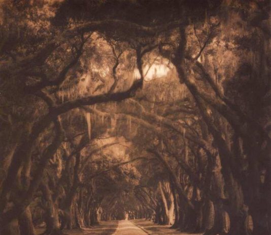 Jack Spencer Jack Spencer