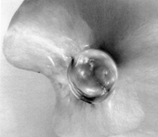 Alessio Larocchi – fiabeINfiale