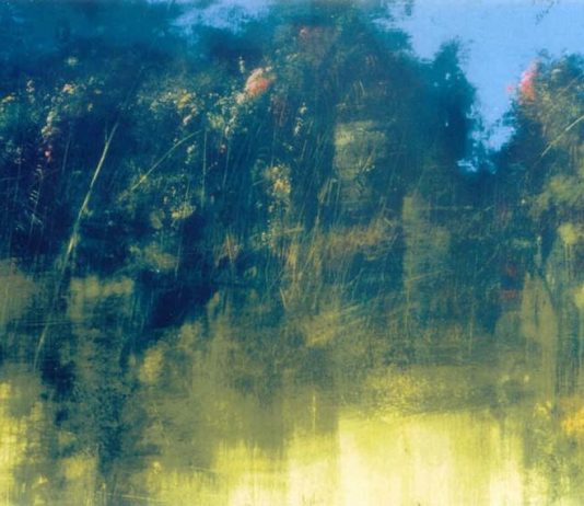 Antonio Pedretti – Opere grafiche e Dipinti Antonio Pedretti – Opere grafiche e Dipinti