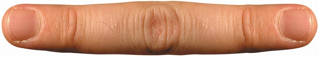 Bidito (designer’s finger)https://www.exibart.com/repository/media/eventi/2004/04/bidito-designer8217s-finger.jpg