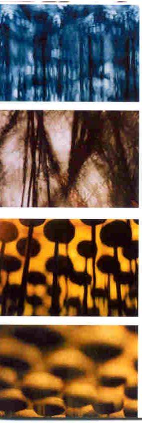 Etienne Benassi – For-Esthttps://www.exibart.com/repository/media/eventi/2004/04/etienne-benassi-8211-for-est.jpg