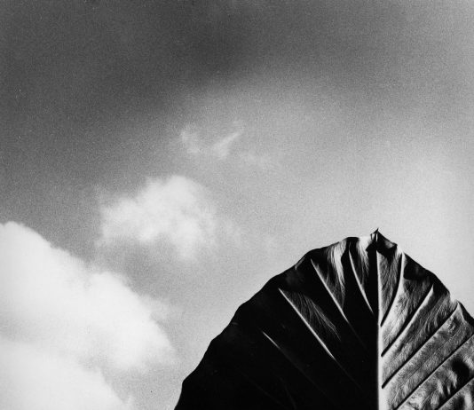 Giovanni Battista Maria Falcone – The waste land e il Sole di Sicilia