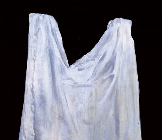 Lino Pes – Le stanze della pittura