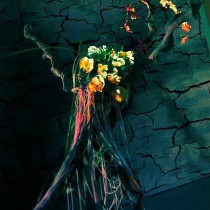 Marco Ambrosi – La serra oscura