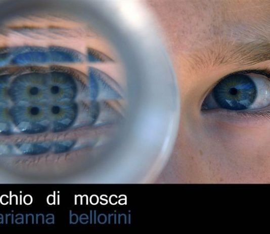 Marianna Bellorini – Occhio di mosca