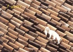 Mario De Biasi – Gatti