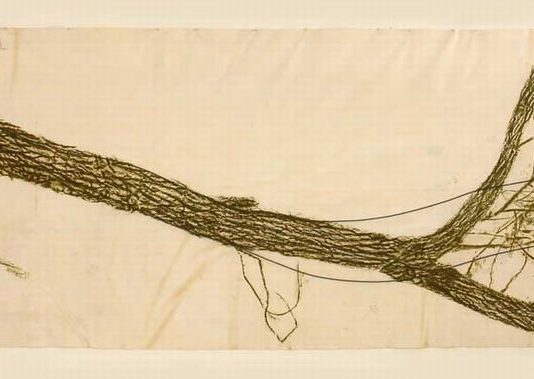 Particular View – Nunzio / Penone