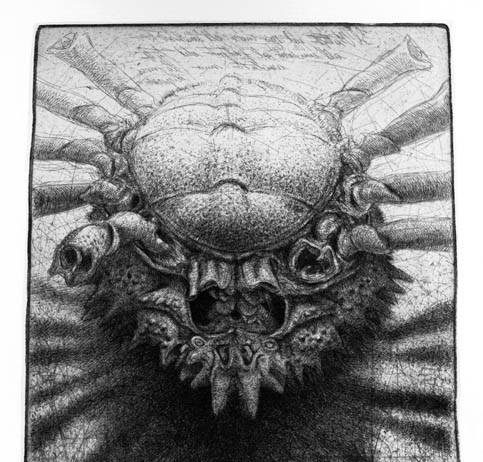 Visioni Marine – Tra fantasia e realtà. I bestiari marini nelle incisioni della Biblioteca Marucelliana