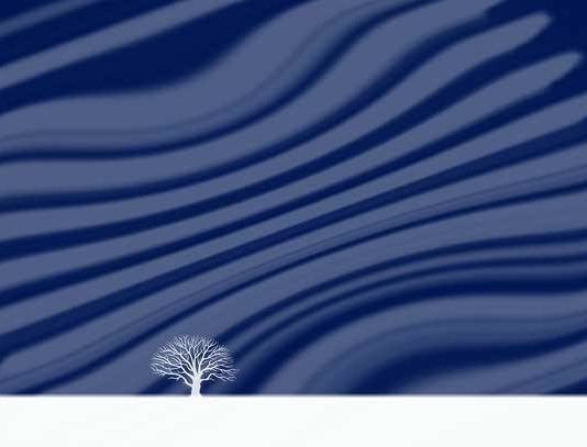 Walter Turcato – Mosaico