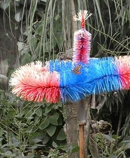 Anna Muskardin – Il campo delle farfalle profughe