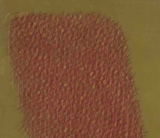 Dorazio 1962 – …