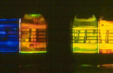 Helidon Gjergji –  Hawaii