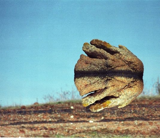 Ileana Florescu – Acqua di cometa