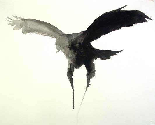 Margot McLean e Sandy Gellis – Study on the nature of things