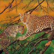 Maurizio Boscheri – Animali in arte