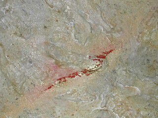 Paola Bisio. Il fuoco fantastico. Omaggio a Clarissa Pinkola Estés