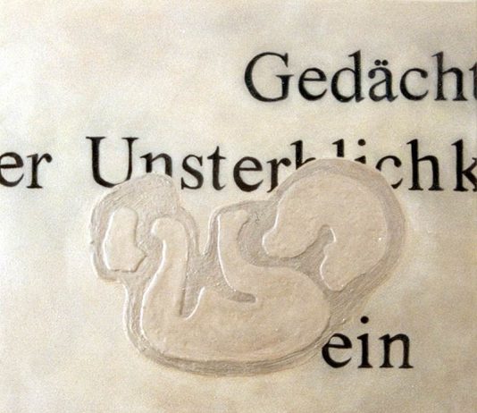 Per Forma – Damiano Fasso Per Forma – Damiano Fasso