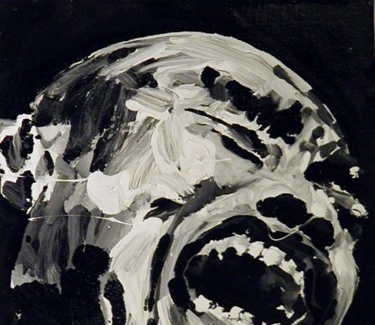 Today ‘ s Portraits