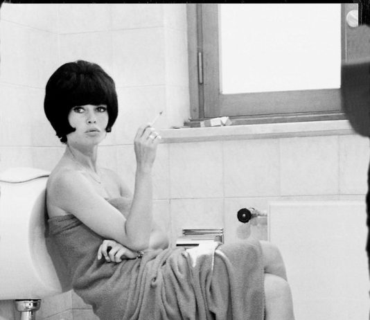 A Flash of Art A Flash of Art