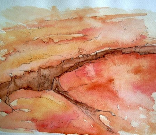 Billabong – Reportage dall’Australia Billabong – Reportage dall’Australia