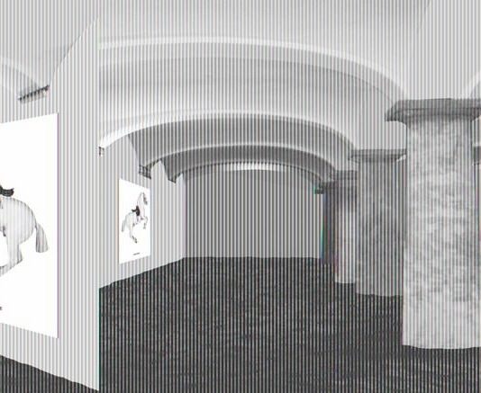 Ciriaco Campus – Scuola di equitazione