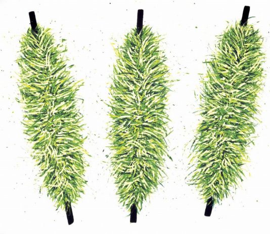 Giuseppe Scaiola – Terra, Natura, Nebbia Giuseppe Scaiola – Terra, Natura, Nebbia