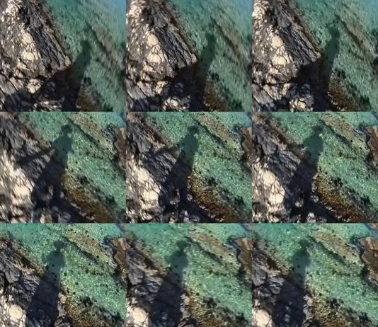 Hicetnunc 2004 Hicetnunc 2004