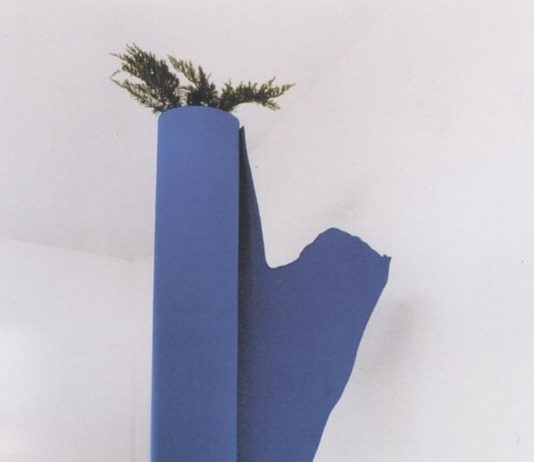 Luoghi d’osservazione 1 – Tiziano Campi / Sauro Cardinali