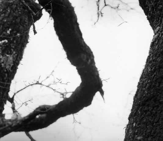 Marco Anelli – Di Te 2004 Marco Anelli – Di Te 2004