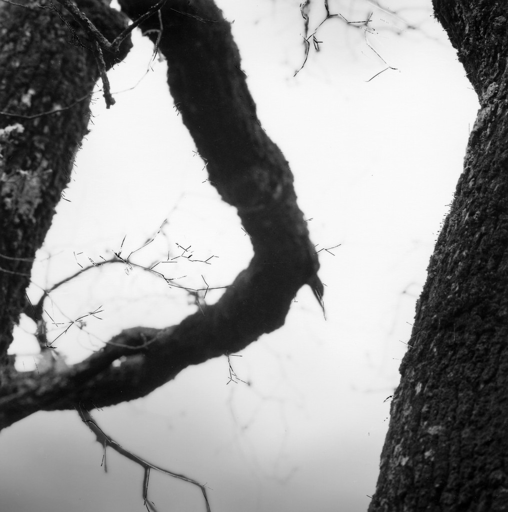 Marco Anelli – Di Te 2004https://www.exibart.com/repository/media/eventi/2004/06/marco-anelli-8211-di-te-2004.jpg