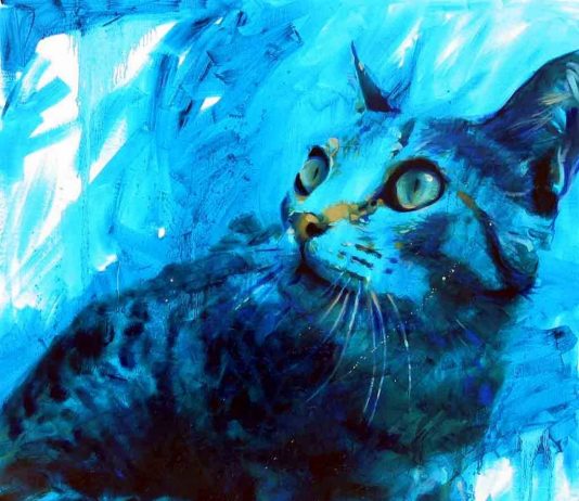 Mario Vespasiani – TestaCoda Mario Vespasiani – TestaCoda