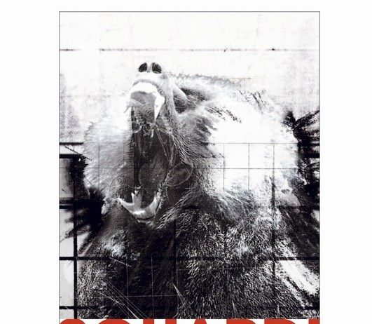 Massimiliano Marrani Massimiliano Marrani