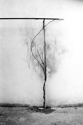 Mostra Corsi Deaphoto 2003-2004