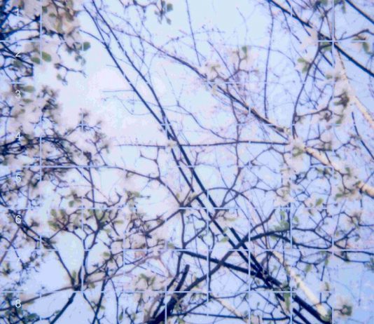 Simona Spaggiari – Host