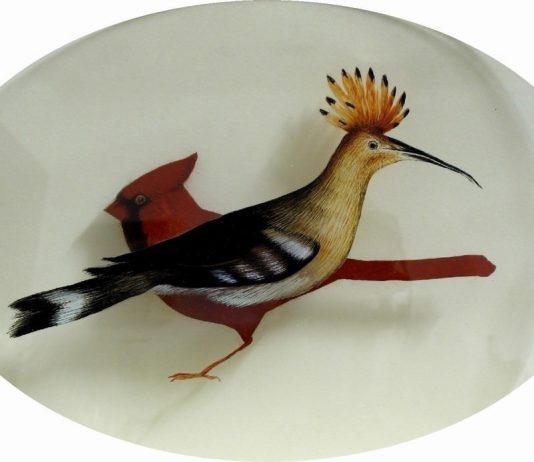 Suadente e flebile allure