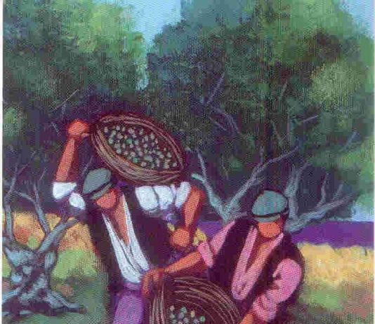 Uzzaco – Viaggio nella memoria siciliana Uzzaco – Viaggio nella memoria siciliana