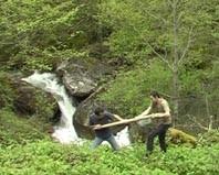 White Project – Sabrina Muzi